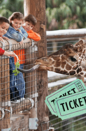 Gatepass Booking Ticket